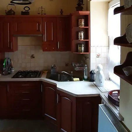 別荘 Dom Nad Wisla